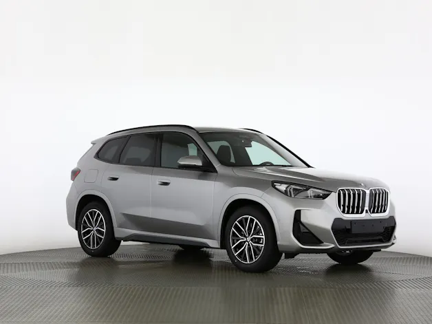 BMW X1 30e xDrive paddles