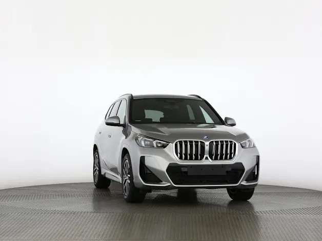 BMW X1 30e xDrive paddles