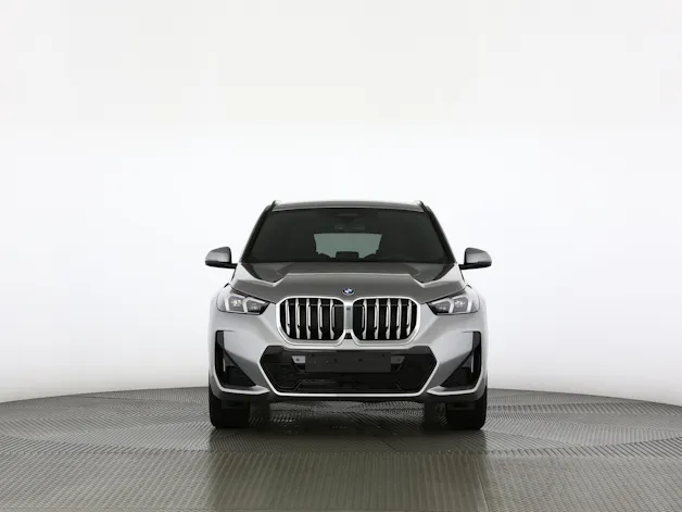 BMW X1 30e xDrive paddles