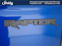 Ford Ranger DKab.Pick-up 3.0 EcoBoost 4x4 Raptor