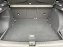 Cupra TERRAMAR 265PS 4DRIVE