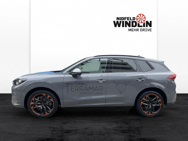 Cupra TERRAMAR 265PS 4DRIVE
