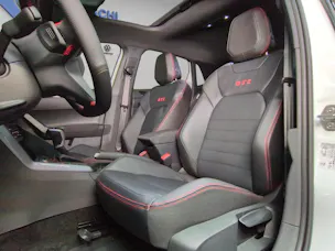 VW Polo 2.0 TSI GTI DSG