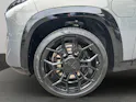 BMW XM xDrive PHEV Steptronic Label