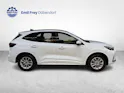 Ford Kuga 2.5 Hybrid ST-Line X 4x4