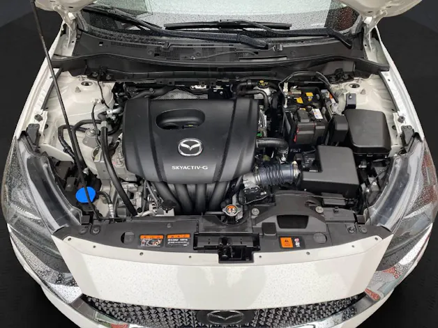 Mazda 2 SG90 Mt Revolution Pack Leder Weiss 4 N
