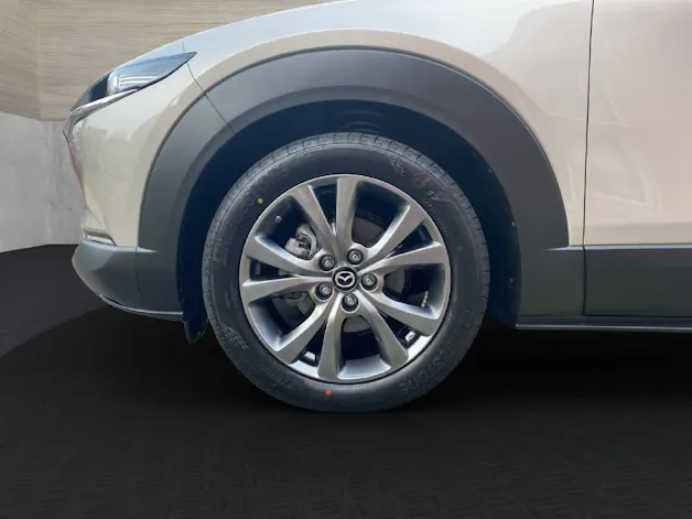 Mazda CX-30 eSX186 AT AWD Takumi BLop