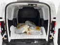 FORD Transit Courier Van 1.0 EcoBoost Trend
