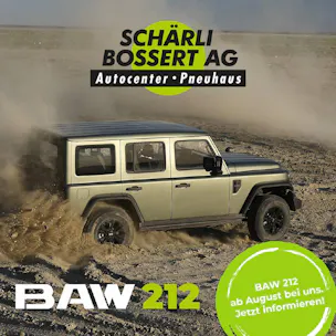 BAW 212 2.0 TD 4WD