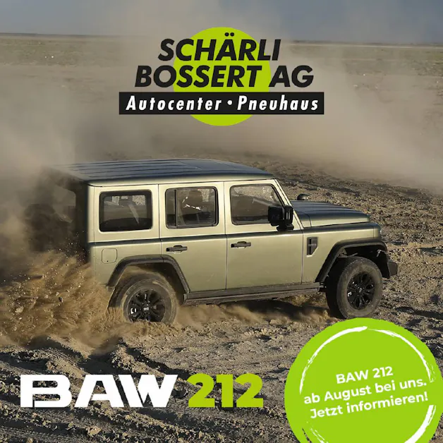 BAW 212 2.0 TD 4WD
