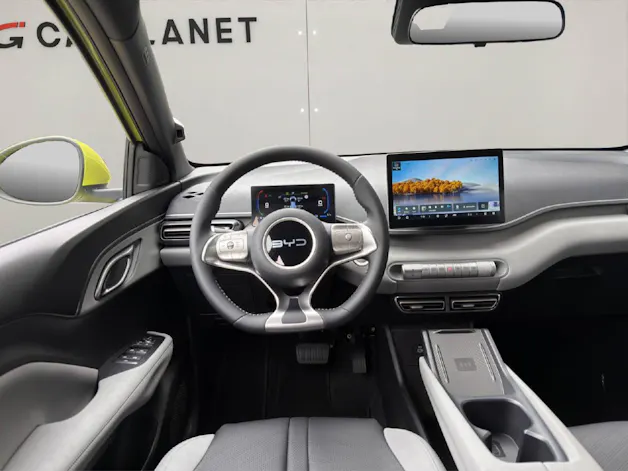 BYD Dolphin Surf Comfort