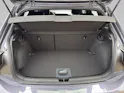 VW Polo 2.0 TSI GTI DSG