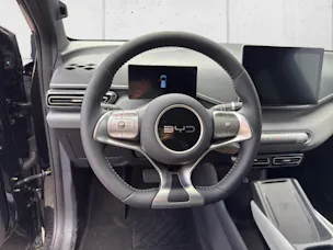 BYD Dolphin Surf Comfort
