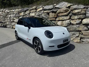 JAC E30X Electric
