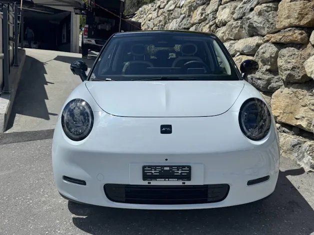 JAC E30X Electric