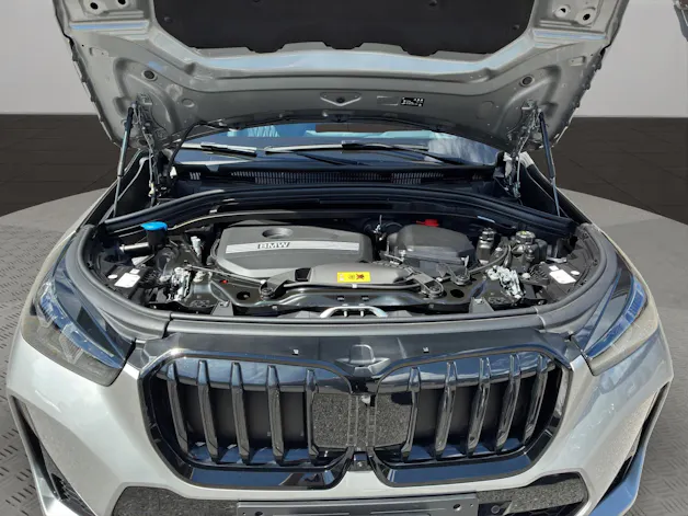 BMW X1 30e xDrive paddles