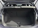 VW Polo 2.0 TSI GTI DSG