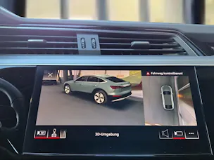 Audi e-tron 55 Sportback S Line quattro Daytonagrau Perleffekt