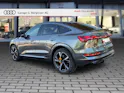 Audi e-tron 55 Sportback S Line quattro Daytonagrau Perleffekt