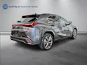 Lexus UX 300h F-Sport