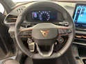 Cupra Terramar 2.0 TSI VZ 4Drive DSG