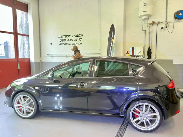 SEAT Leon 2.0 TSI Cupra R310 ✅