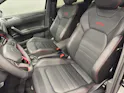 VW Polo 2.0 TSI GTI DSG