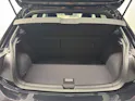 VW Polo 2.0 TSI GTI DSG