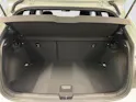 VW Polo 2.0 TSI GTI DSG