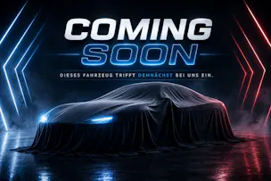 JAC E30X 51 kWh Flagship Pro+