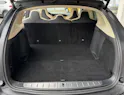 Tesla Model X 100 D