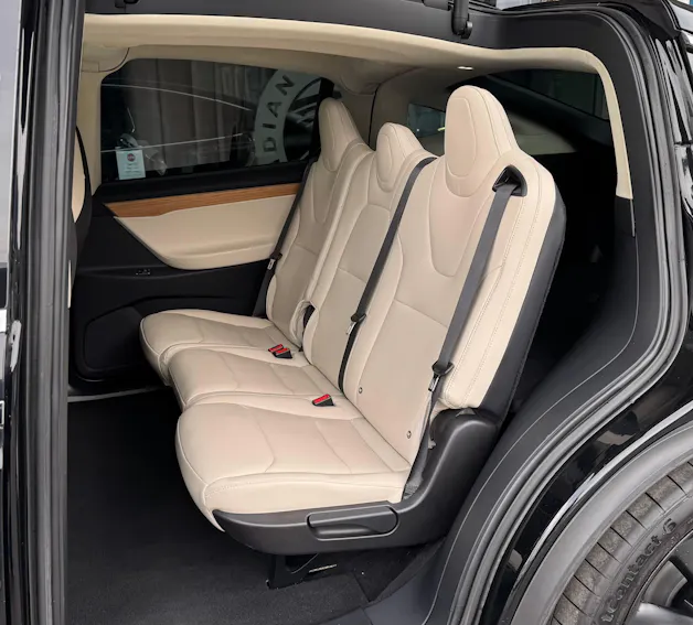 Tesla Model X 100 D