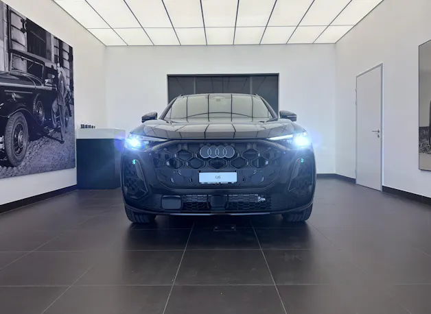 Audi Q5 e-hybrid quattro 270 kW S-tronic