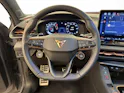 Cupra Terramar 2.0 TSI VZ 4Drive DSG