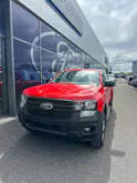 Ford Ranger dcab.pick-up 2.3 EcoBoo XLT/PHEV