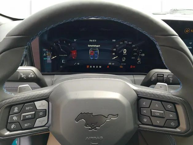 Ford Mustang Coupé 5.0 V8 Dark Horse