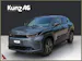 Toyota Urban Cruiser Premium