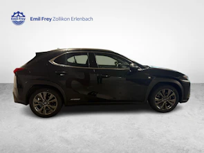 Fahrzeugbild LEXUS UX 250h F-Sport