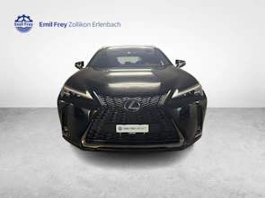 Fahrzeugbild LEXUS UX 250h F-Sport