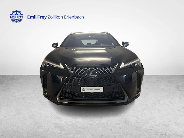 Fahrzeugbild LEXUS UX