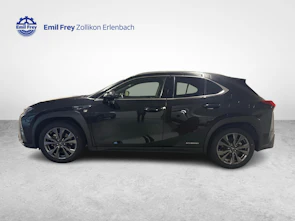Fahrzeugbild LEXUS UX 250h F-Sport