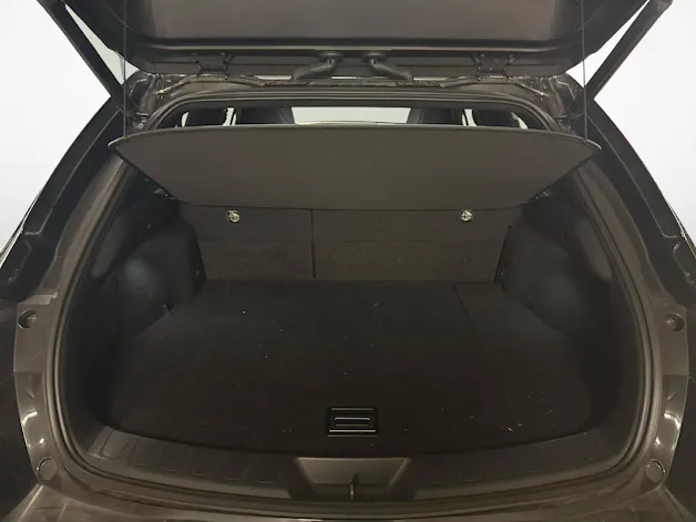 Lexus UX 250h F-Sport