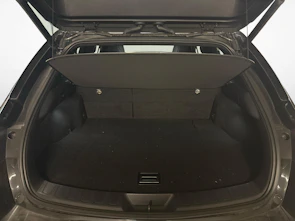 Fahrzeugbild LEXUS UX 250h F-Sport