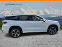 Škoda Kodiaq 2.0 TSI RS 4x4
