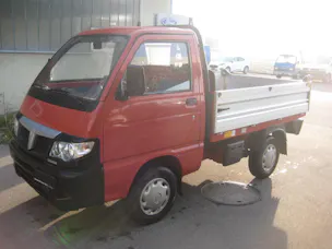 Piaggio 1.3-16V 4x2 Kipper