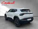 Toyota Urban Cruiser Premium AWD