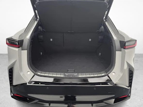 Fahrzeugbild LEXUS RZ 550e F Sport