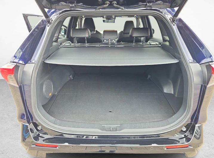 immagine del veicolo TOYOTA RAV-4