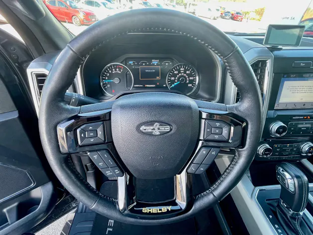 Ford Shelby F150 Offroad