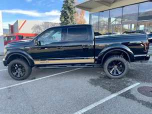 Ford Shelby F150 Offroad